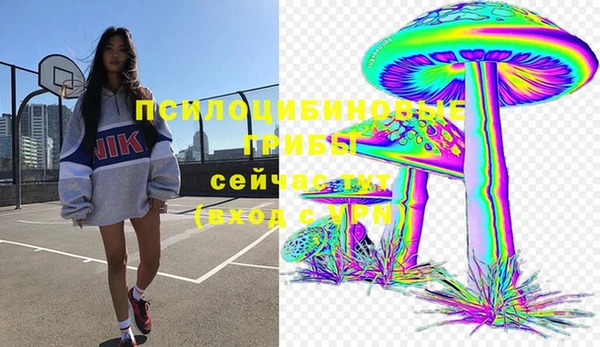 прущие грибы Каменск-Шахтинский
