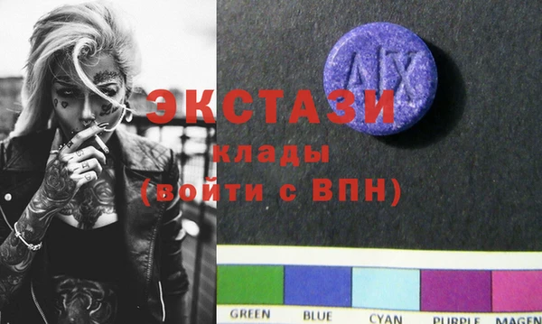 индика Карпинск