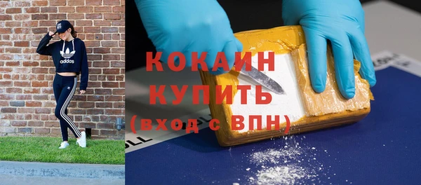 прущие грибы Каменск-Шахтинский