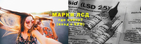 индика Карпинск
