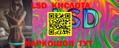 крисы Пенза