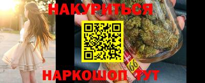 крисы Пенза