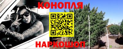 крисы Пенза