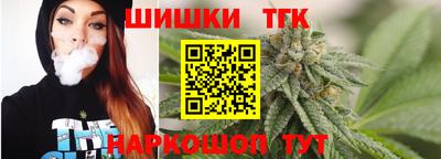 крисы Пенза