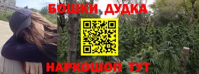 крисы Пенза