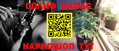 крисы Пенза