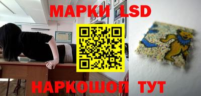 крисы Пенза