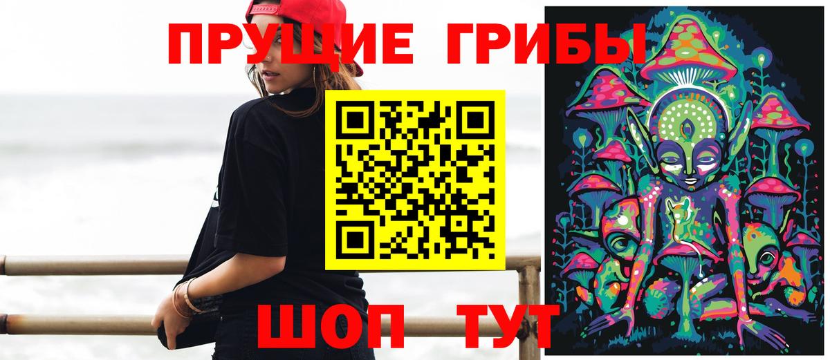 Псилоцибиновые грибы Psilocybe Павловский Посад