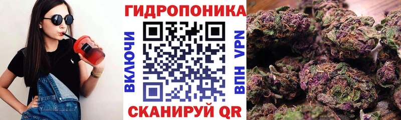 купить наркоту  kraken рабочий сайт  МАРИХУАНА ГИДРОПОН  Павловский Посад 